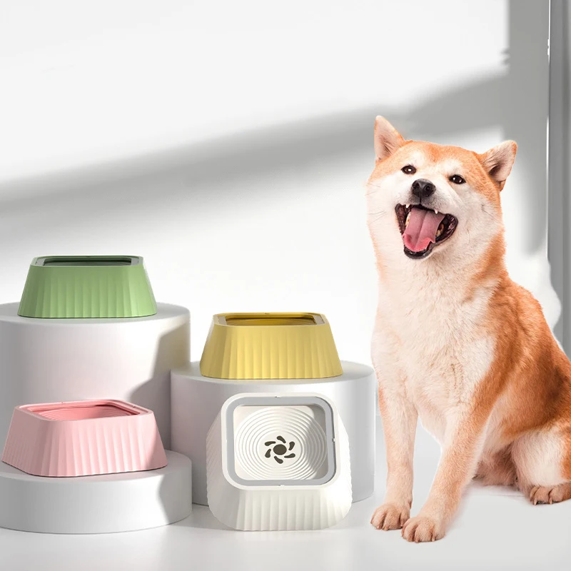 tigela de água para cães e gatos