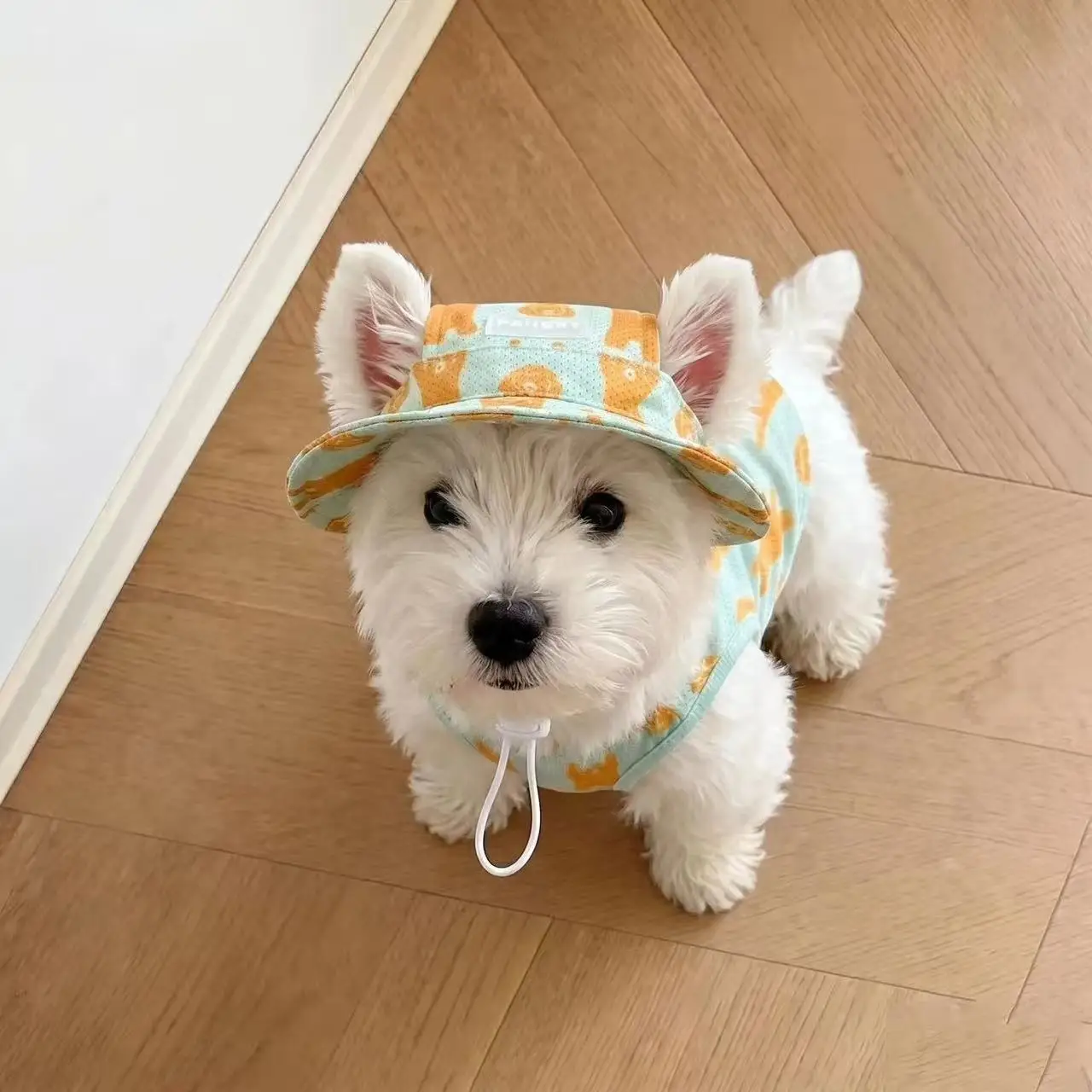 Roupa de Verão para Cães com Chapéu, Proteção Solar Respirável - Image 6