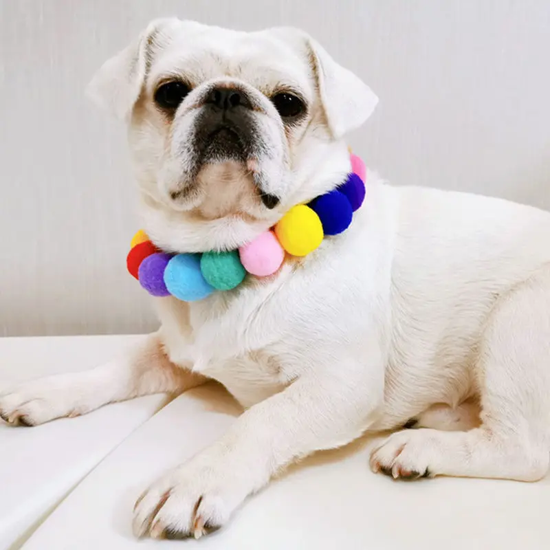 coleira para cães e gatos com bola