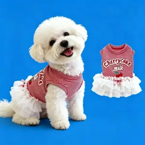 roupa para cães e gatos colete