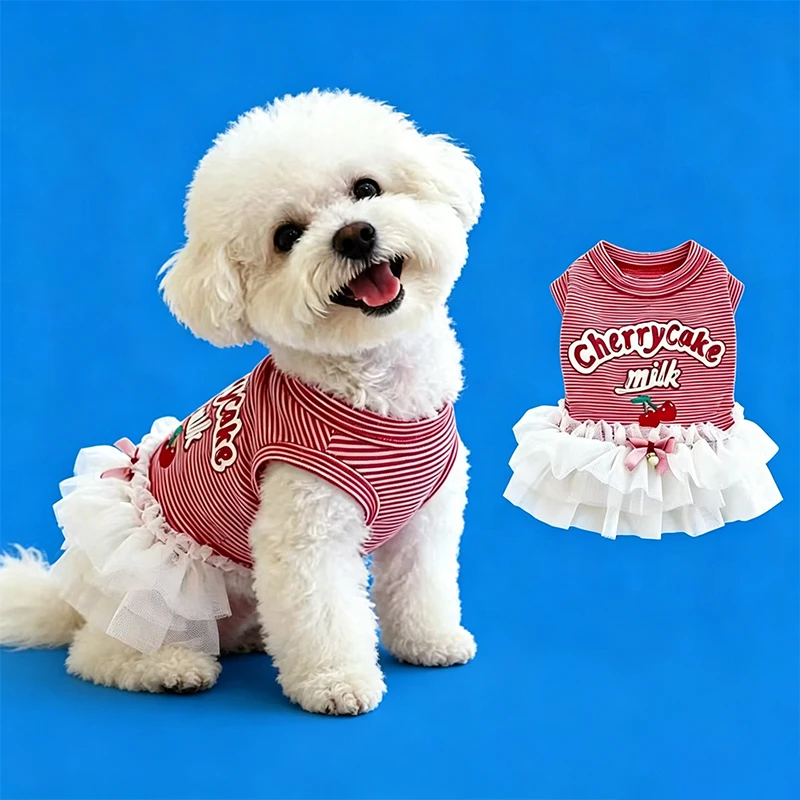 roupa para cães e gatos colete