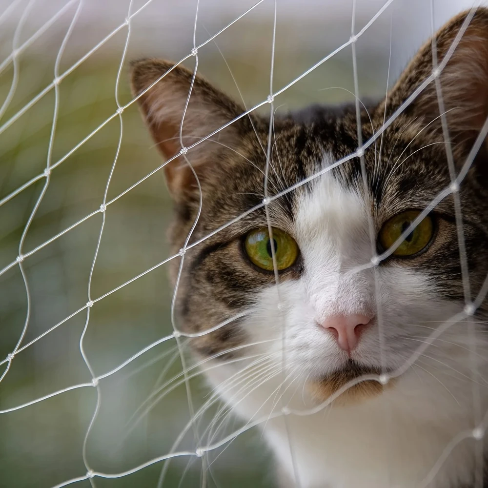 rede de segurança para gatos transparente
