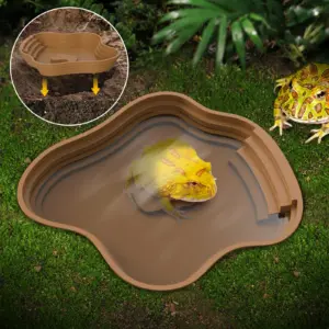 bacia de banho para tartaruga