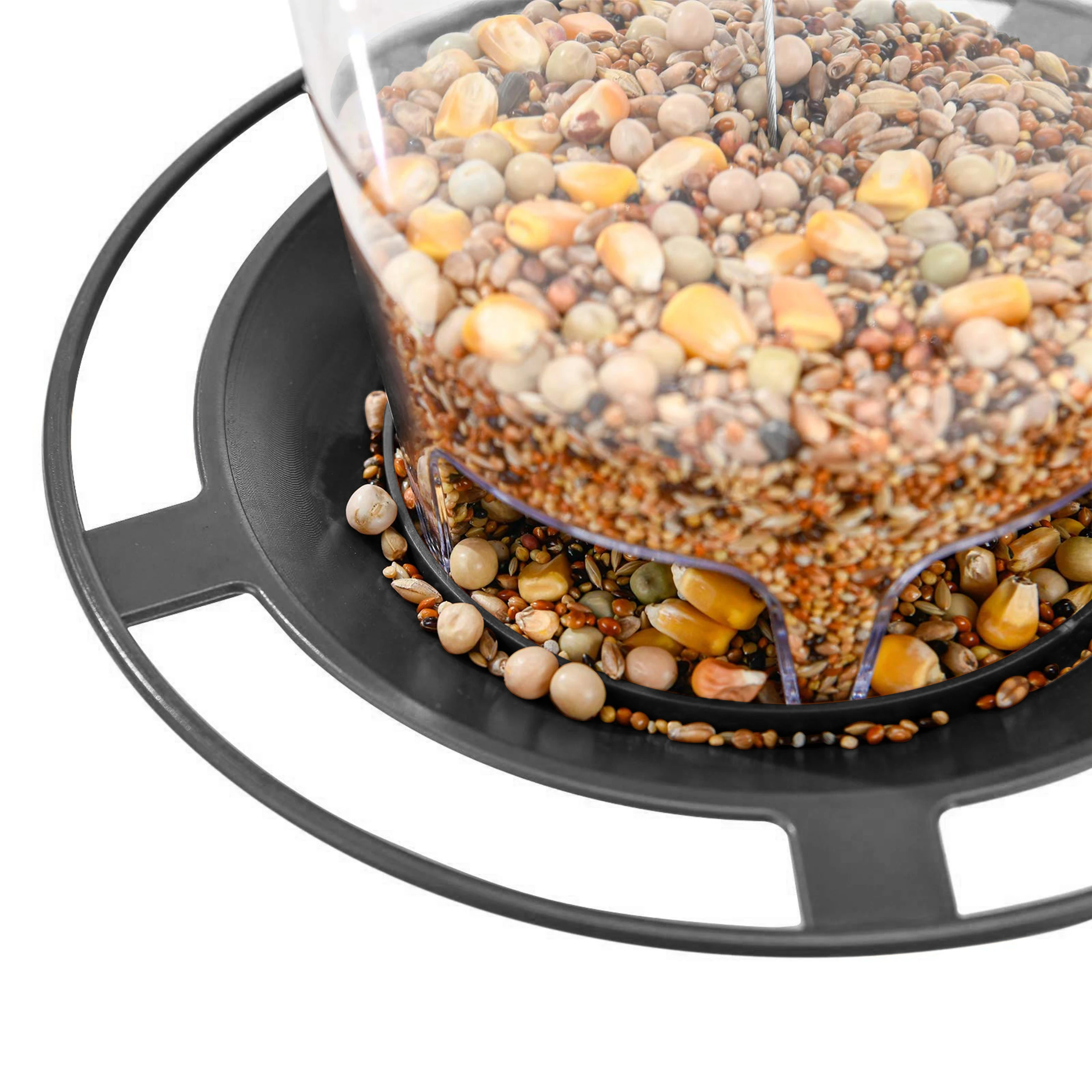 Alimentador de Pássaros Automático com Capacidade de 820 ml e Telhado Inclinado - Imagem 2