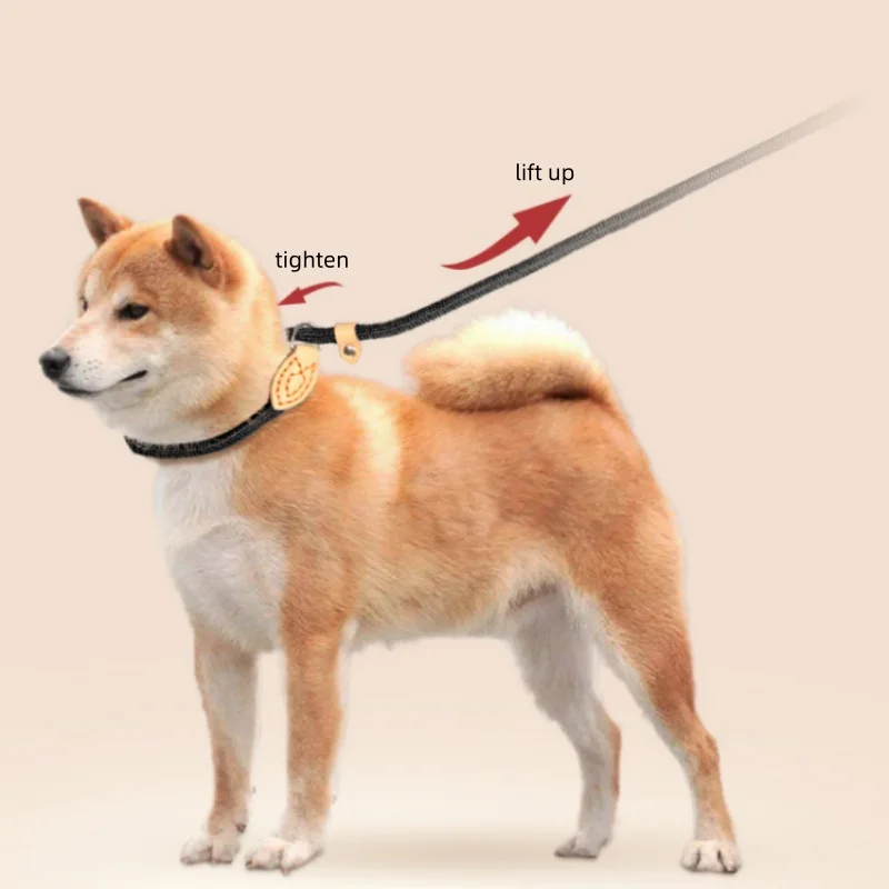 Coleira Guia de Corda Trançada para Cães Ajustável com Laço - Imagem 3