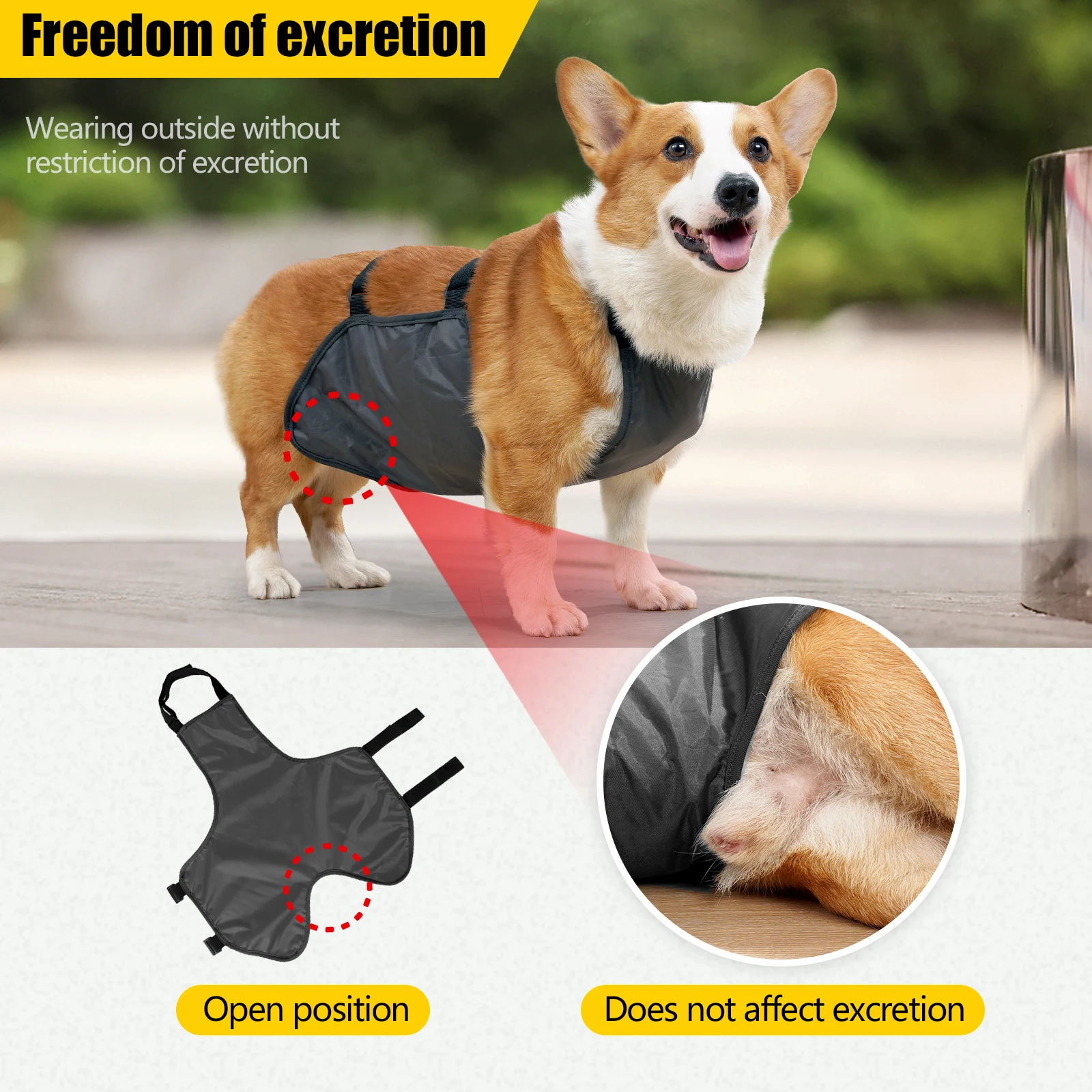 Roupa para Cães Filhotes Impermeável com Bolso Lavável - Imagem 5