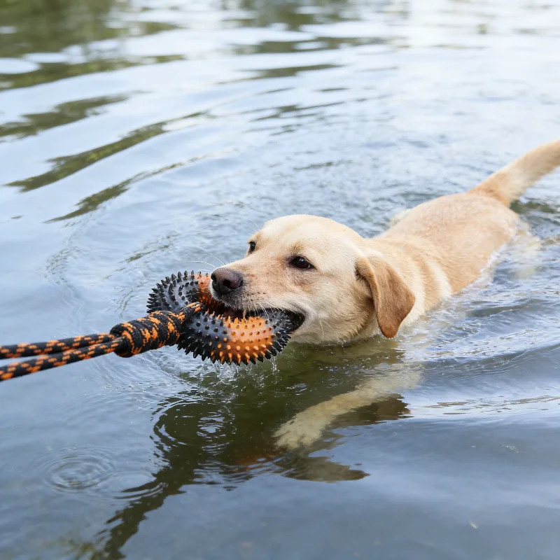 Brinquedo de Puxar para Cães Grandes com Anel Pontiagudo e Nó - Imagem 3