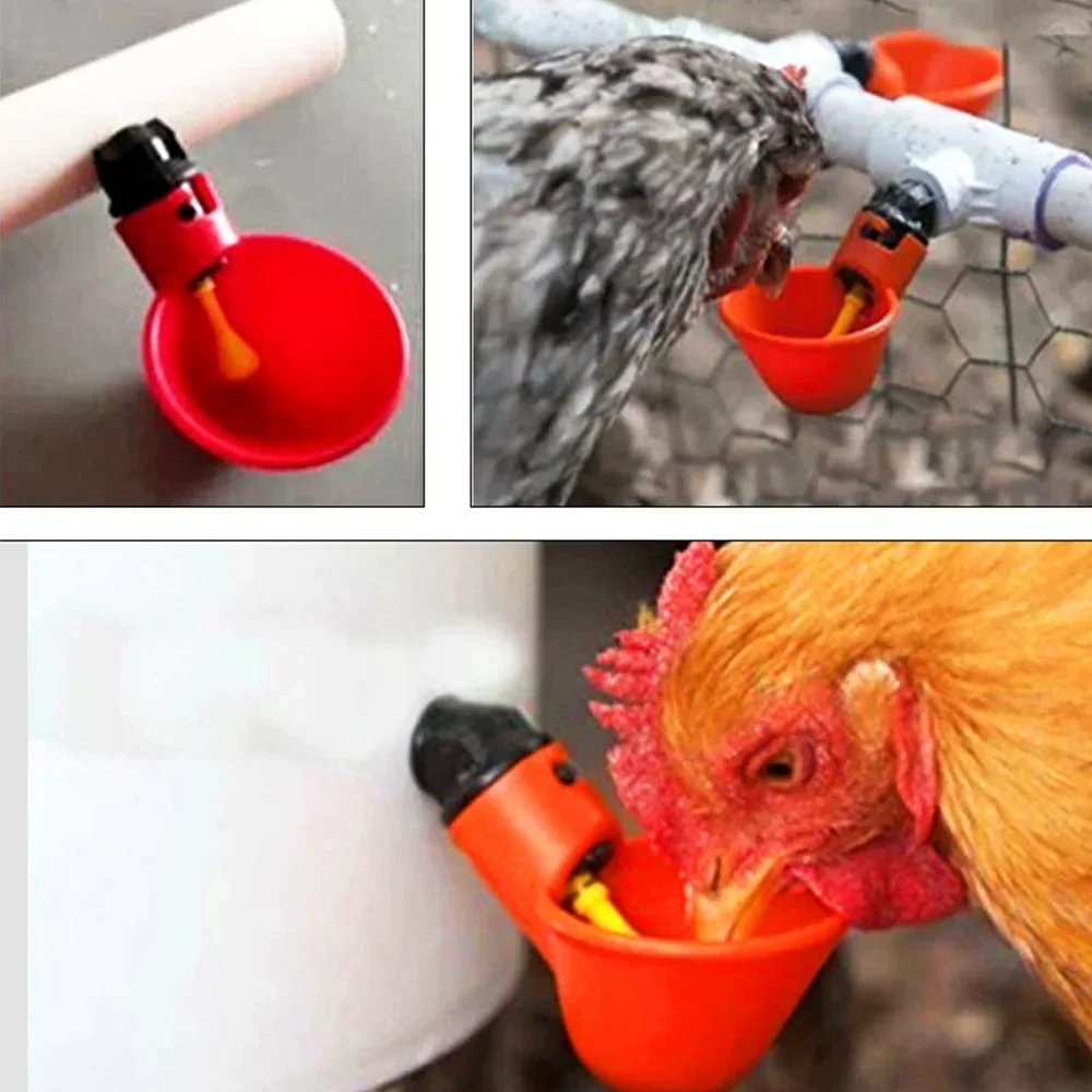 Bebedouro Automático para Aves com Conector em T e Gatilho Amarelo - Imagem 2