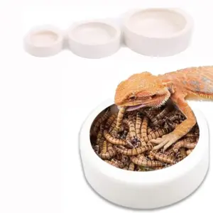 tigela de cerâmica para répteis anti-fuga