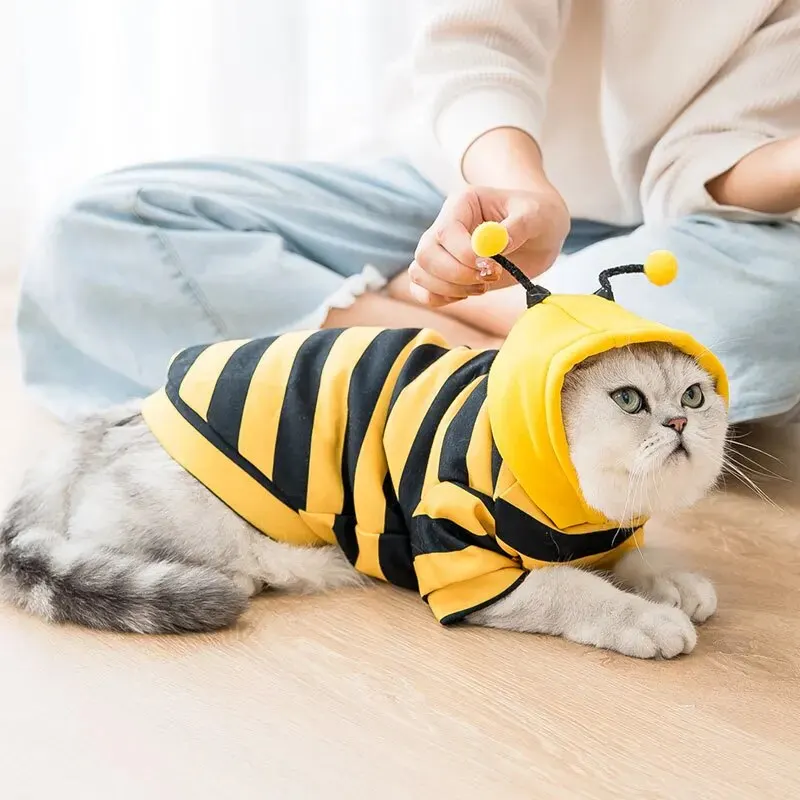 Roupa para Cães e Gatos com Capuz Abelha - Image 3