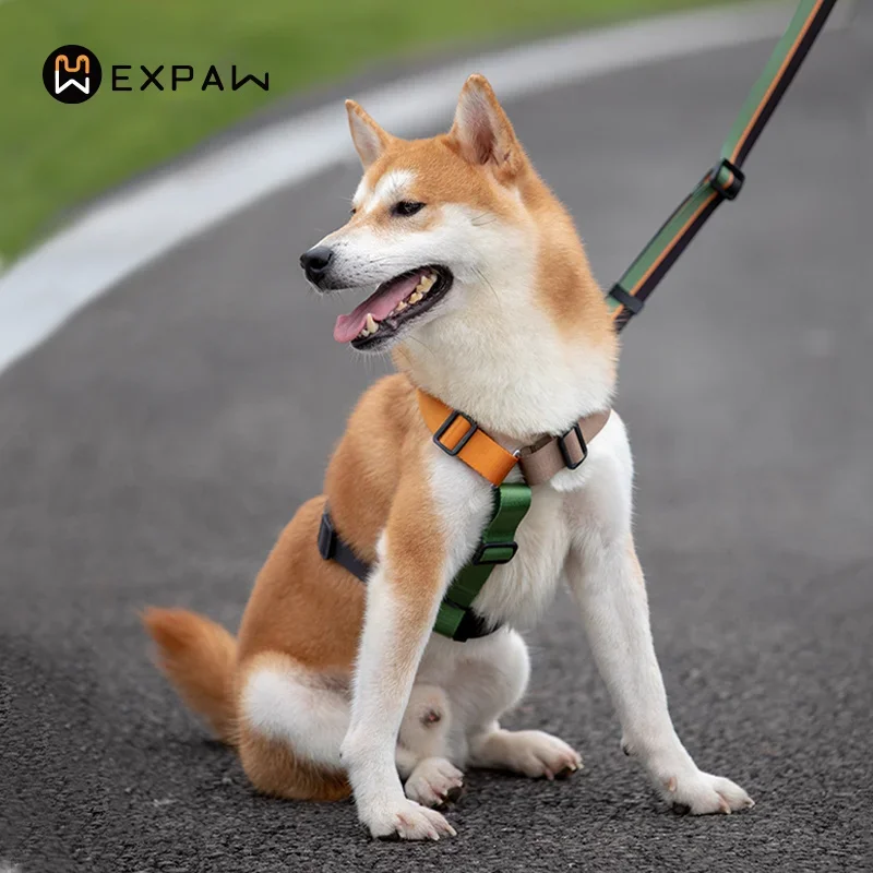 Coleira Peitoral para Cães de Nylon Ajustável com Anel Fixo - Image 2