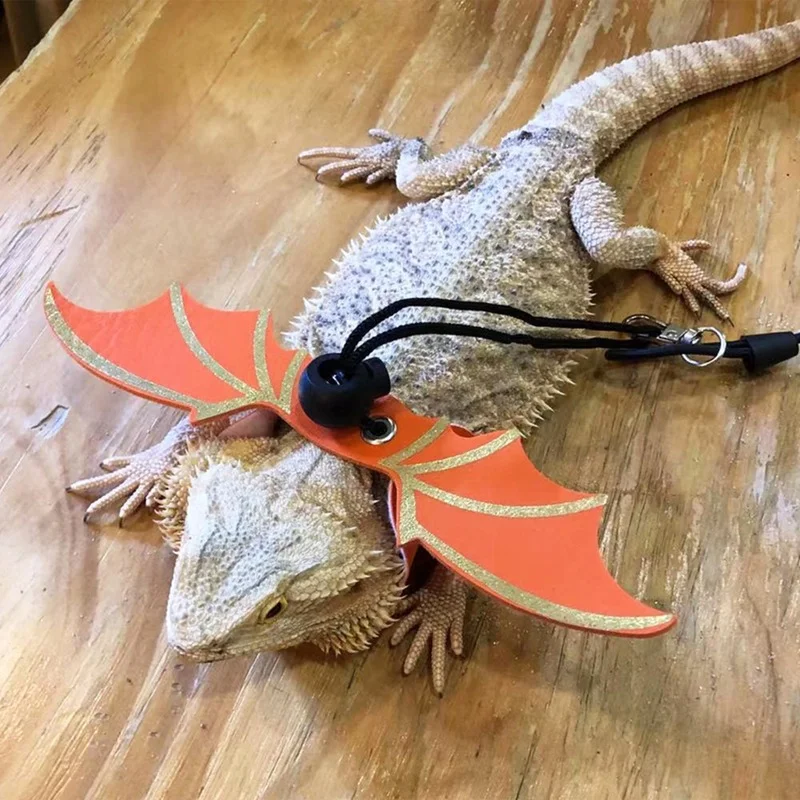 Coleira para Lagarto com Asas de Morcego, 3 Peças, Ajustável - Imagem 3
