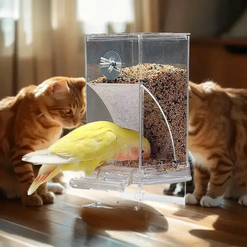 Caixa Alimentadora para Pássaros Pequenos e Médios 13x8,1 cm com Design Transparente - Imagem 3