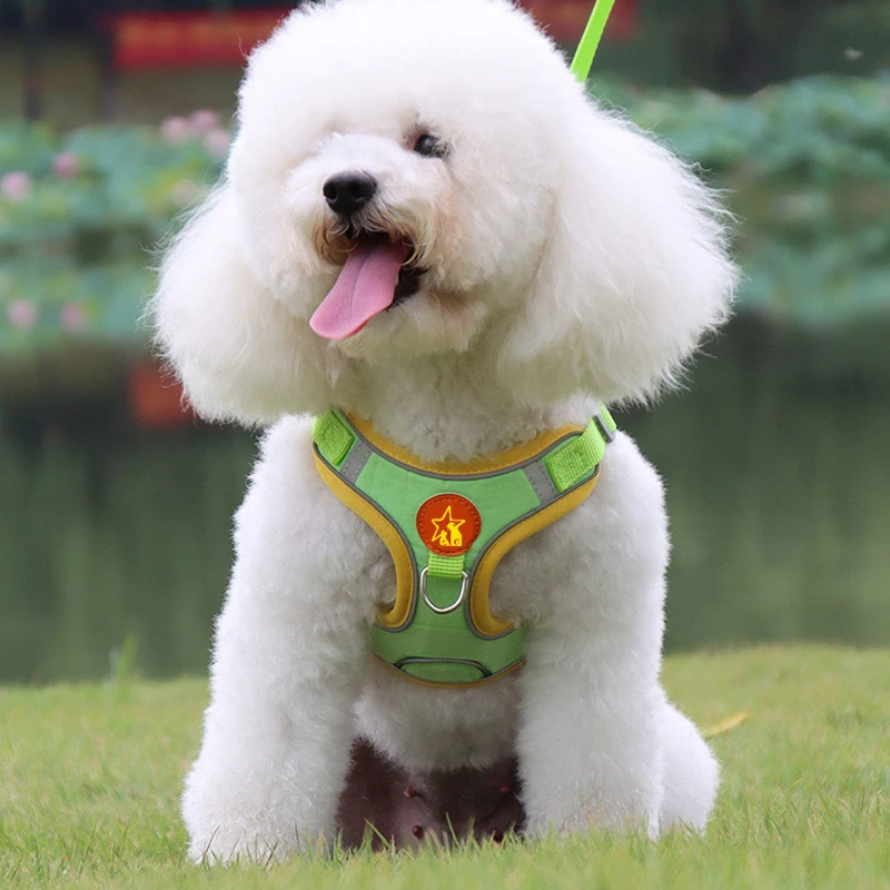 Coleira Peitoral para Cães Pequenos e Médios com Faixa Refletiva - Imagem 2