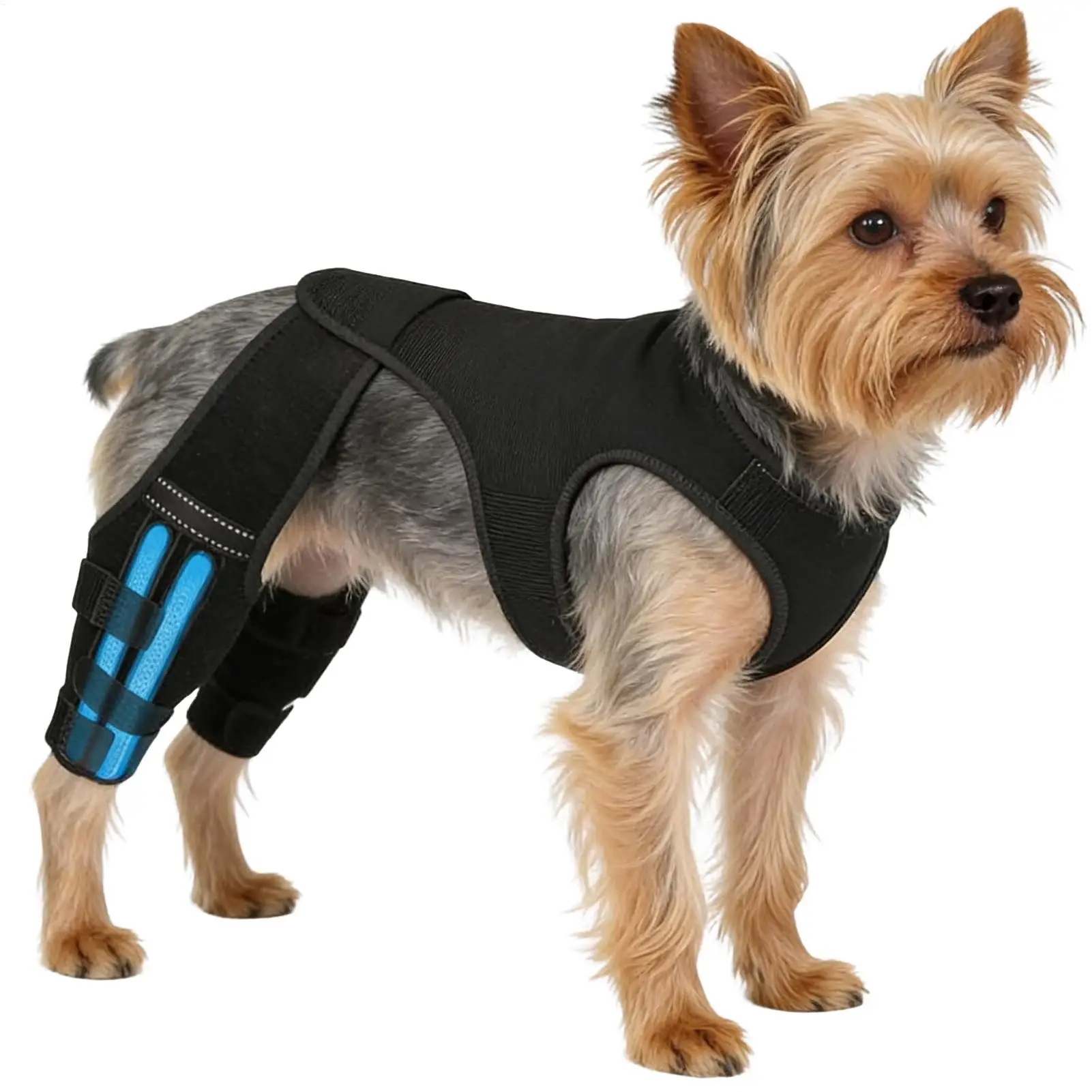 suporte ajustável pata cachorro