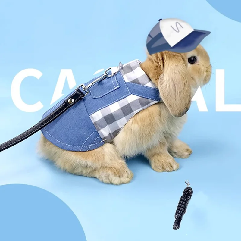 Coleira e Arnês para Animais Pequenos em Jeans - Image 5