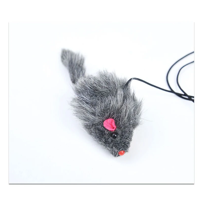Brinquedo Interativo para Gatos de Pendurar na Porta Retrátil - Image 3