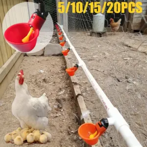bebedouro automático para aves