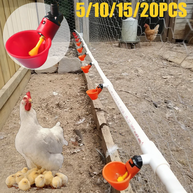 bebedouro automático para aves