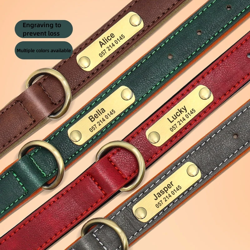 Coleira para Cães de Couro PU Acolchoada com Placa de Identificação Gravada - Imagem 5
