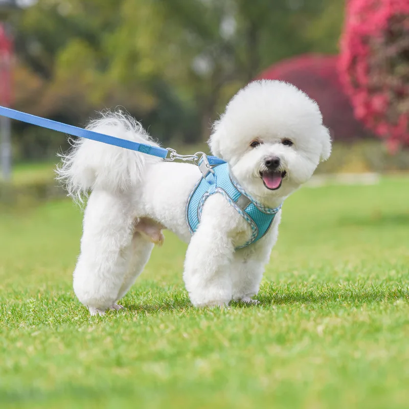 Conjunto Peitoral e Guia para Cães e Gatos Pequenos e Médios Refletivo - Imagem 6