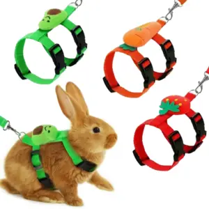 coleira peitoral para gatos e coelhos
