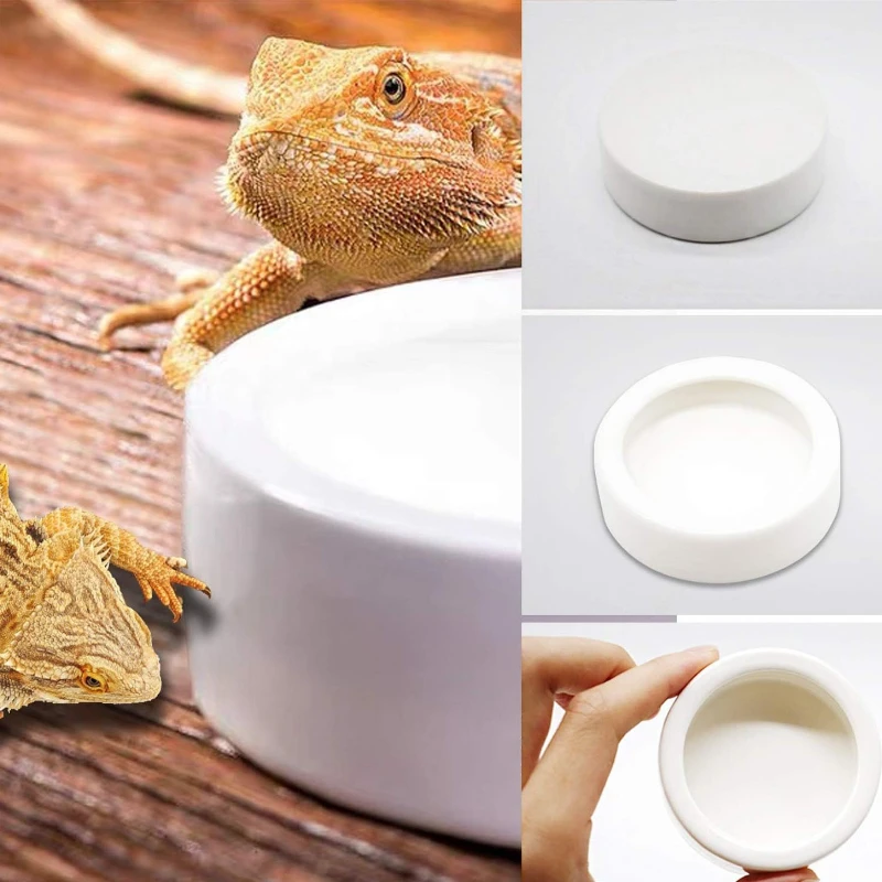 Tigela de Cerâmica para Répteis Anti-Fuga para Geckos e Cobras - Imagem 2