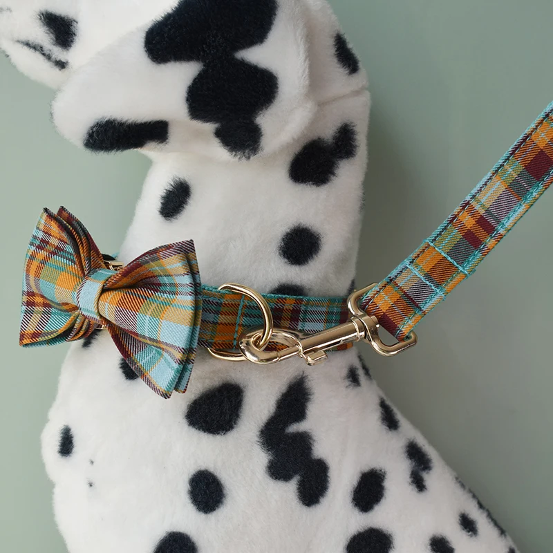 Conjunto de Coleira, Guia e Peitoral para Cães Personalizável - Image 6