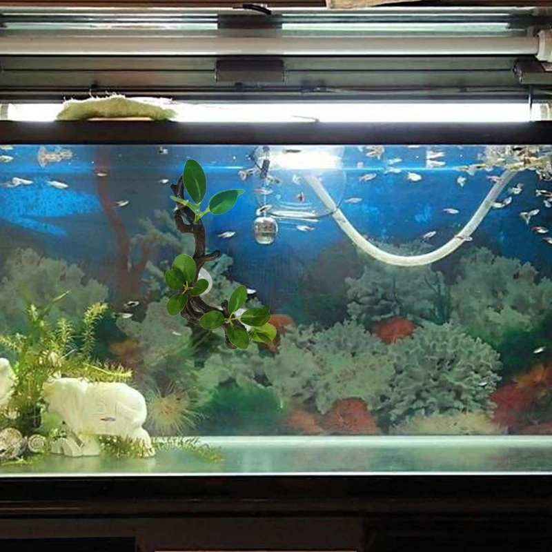Planta de Canto para Terrário de Répteis com Ventosa - Image 5