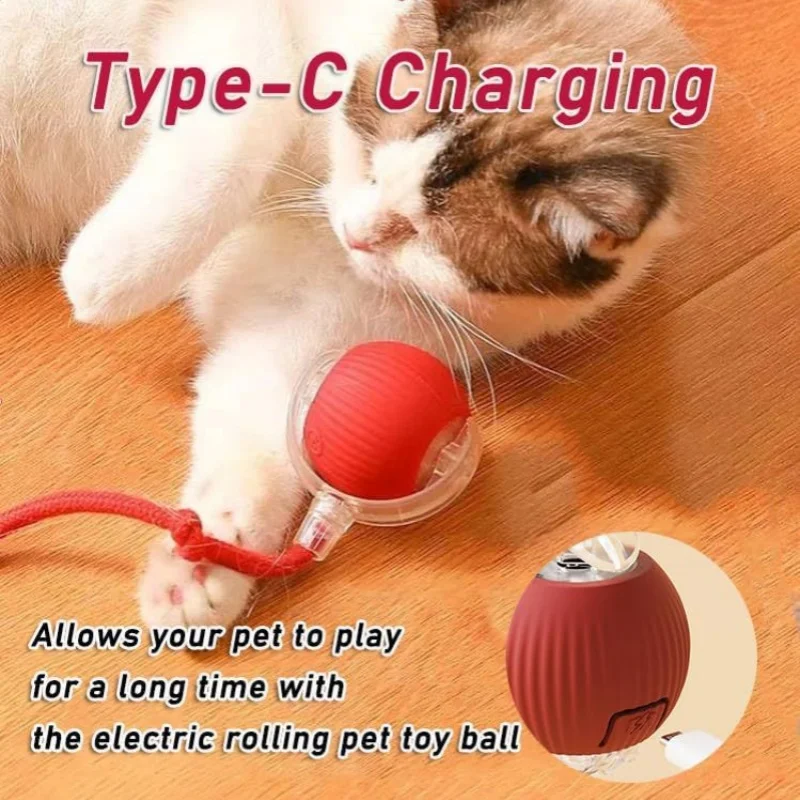 Bola Elétrica para Cães Pequenos Recarregável USB com Sensor de Movimento - Imagem 2