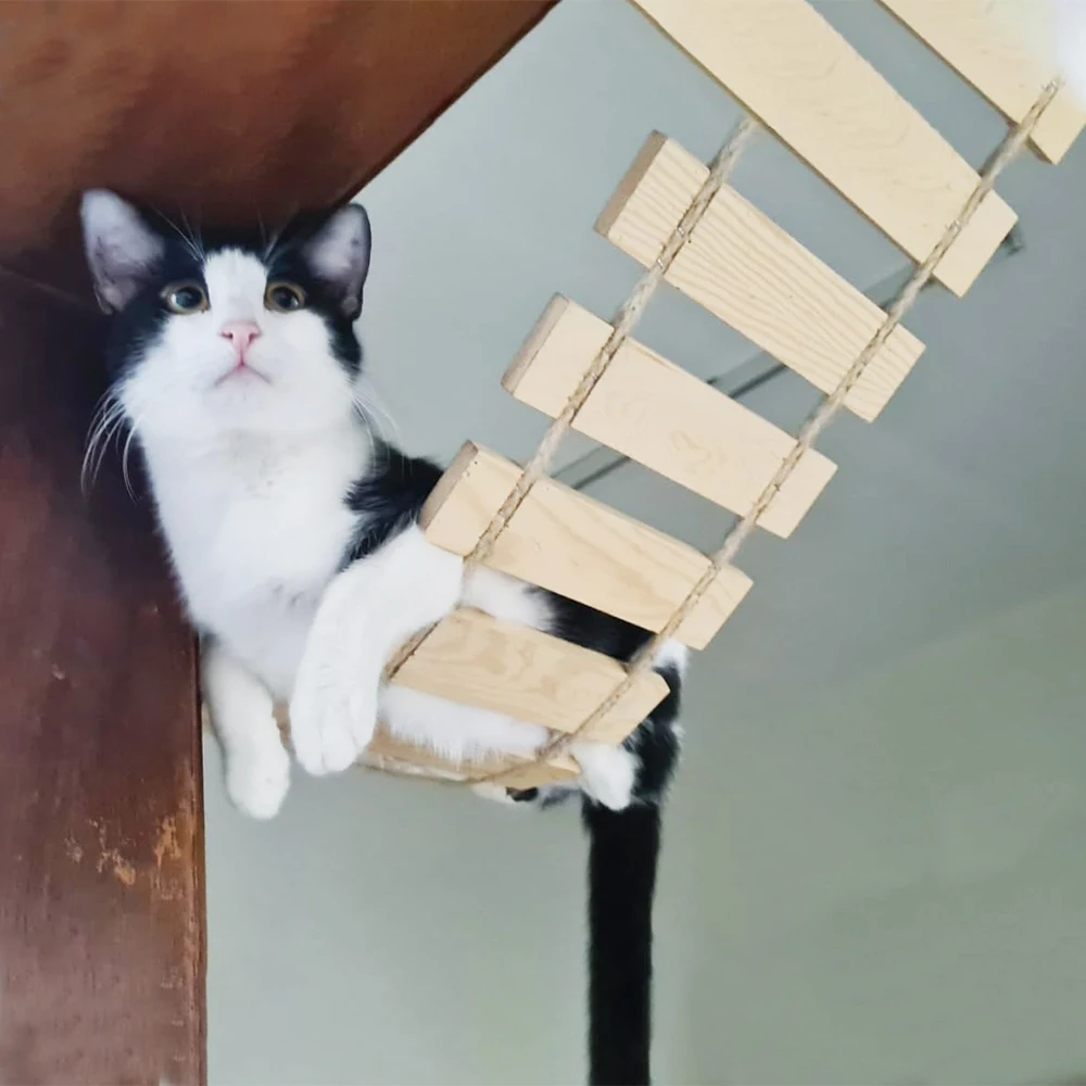 Ponte de Madeira para Gatos para Escalar e Brincar na Parede - Imagem 3