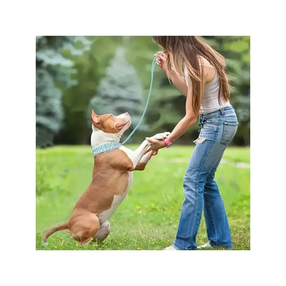 Coleira Ajustável de Couro PU para Cães e Gatos Pequenos - Imagem 6