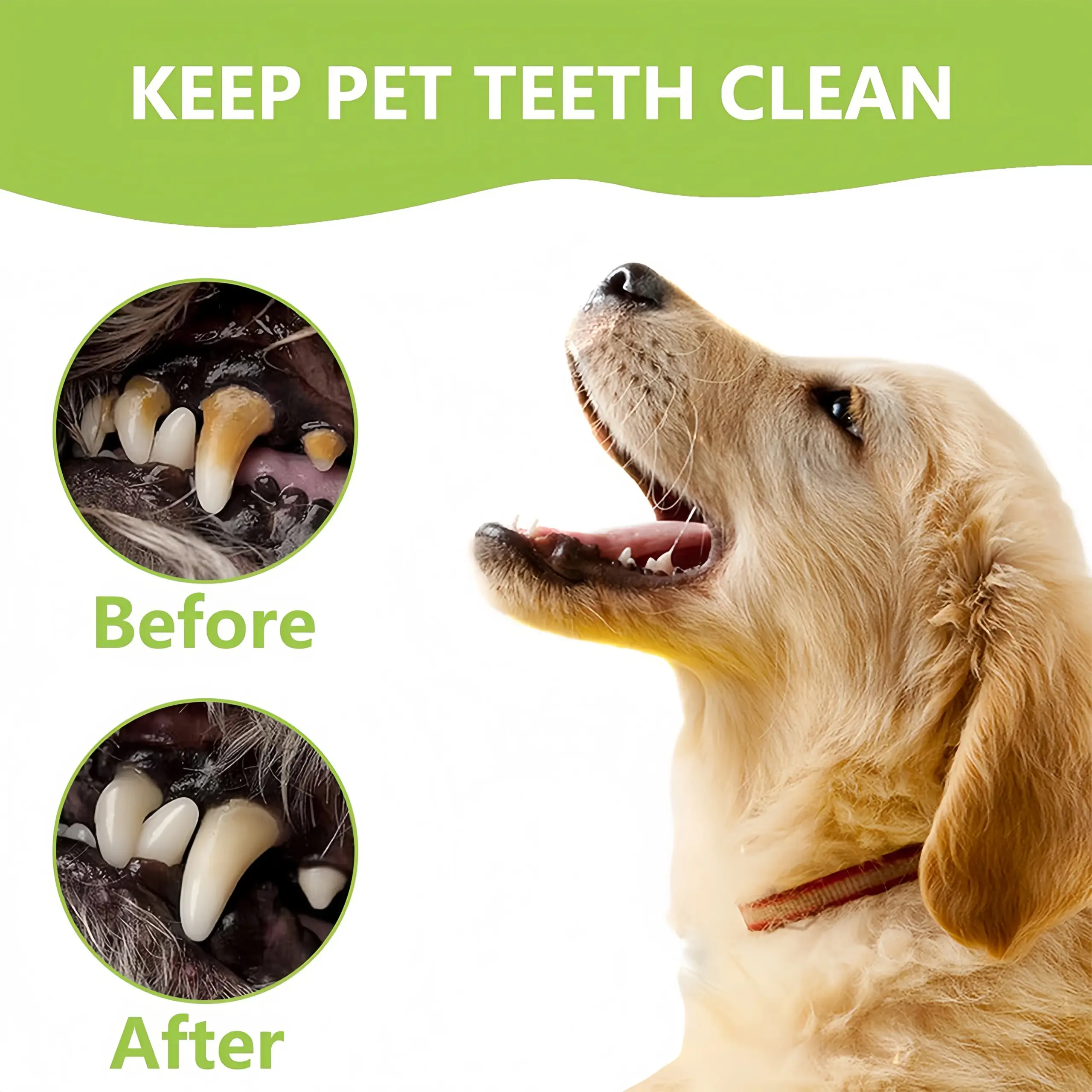 Kit Limpeza Dental para Cães e Gatos em Aço Inoxidável - Image 6