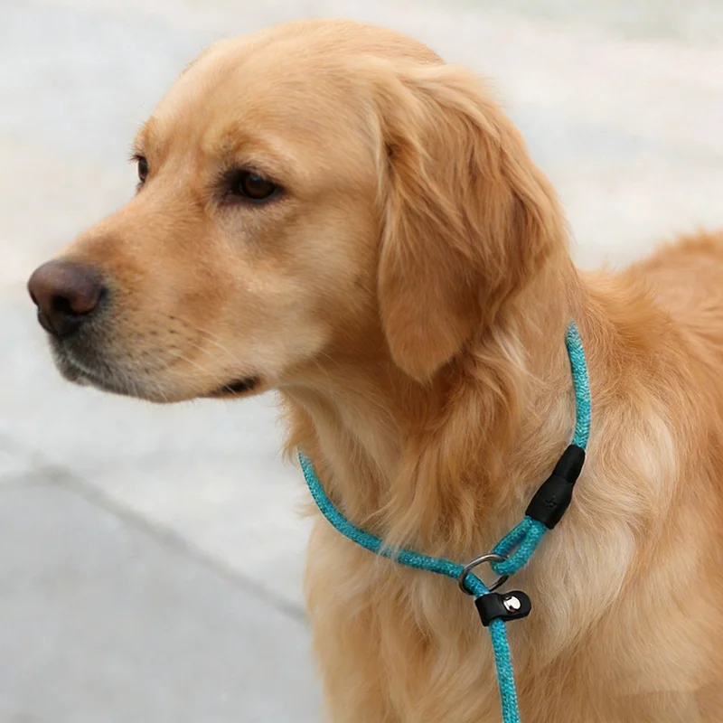 Coleira Guia para Cães de Nylon Trançado Ajustável Antipuxão - Imagem 4