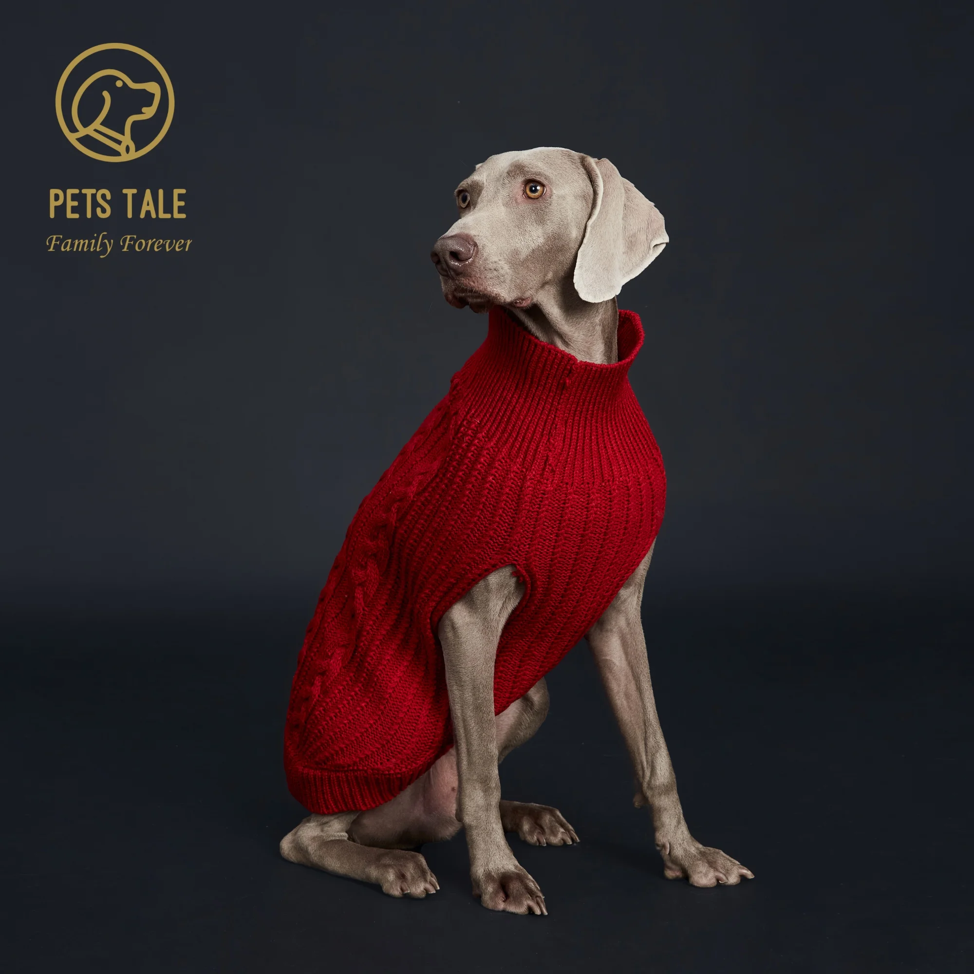 Suéter de Malha para Cães com Cores Variadas - Imagem 6