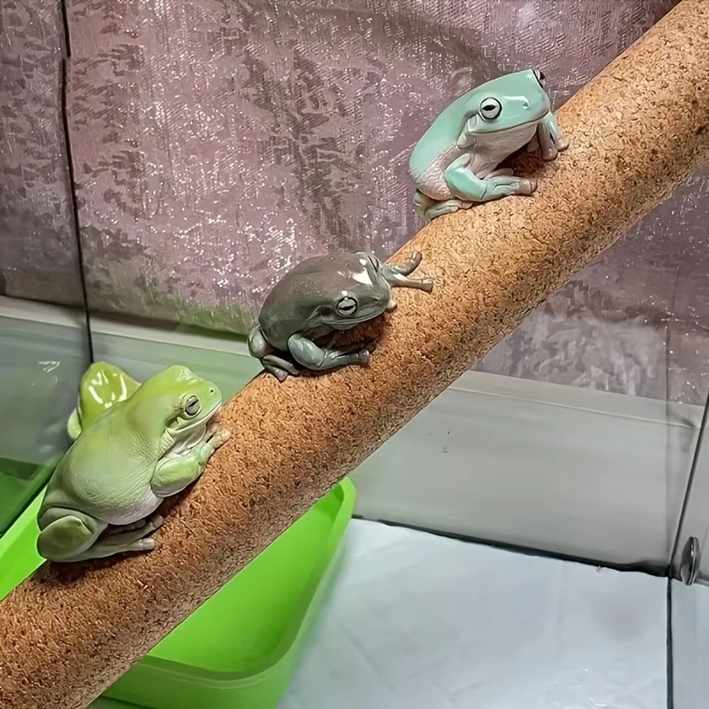 Galho de Cortiça DIY para Répteis Flexível Decoração de Terrário - Imagem 5