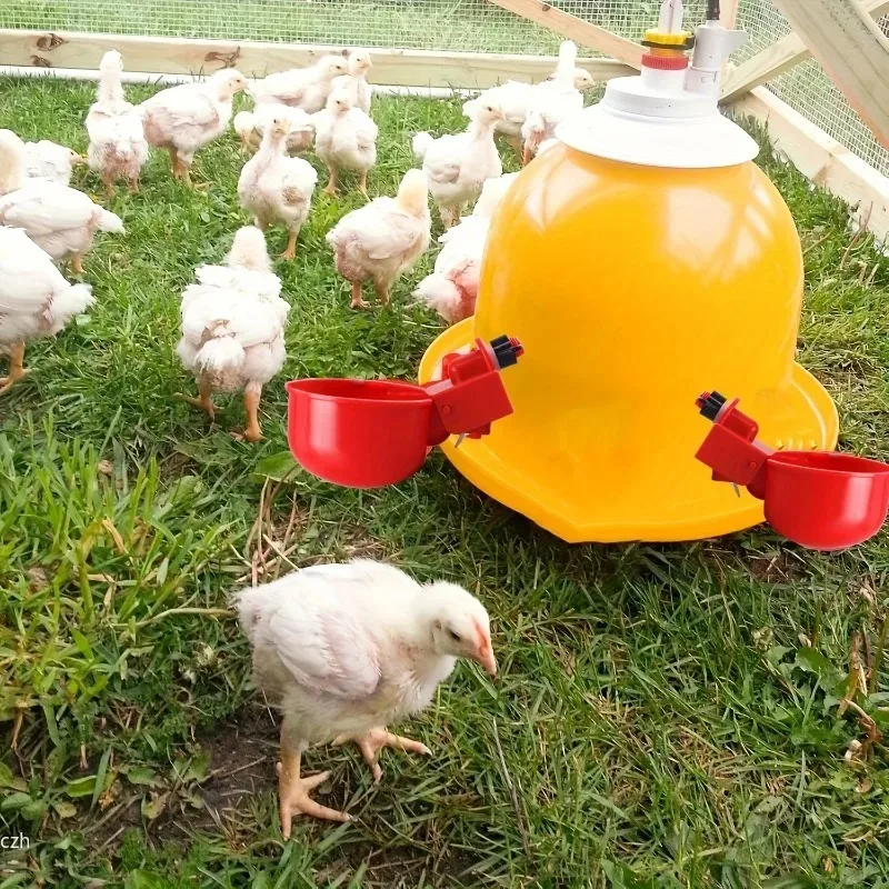 Bebedouro Automático para Aves de Criação com Reabastecimento Automático - Imagem 3