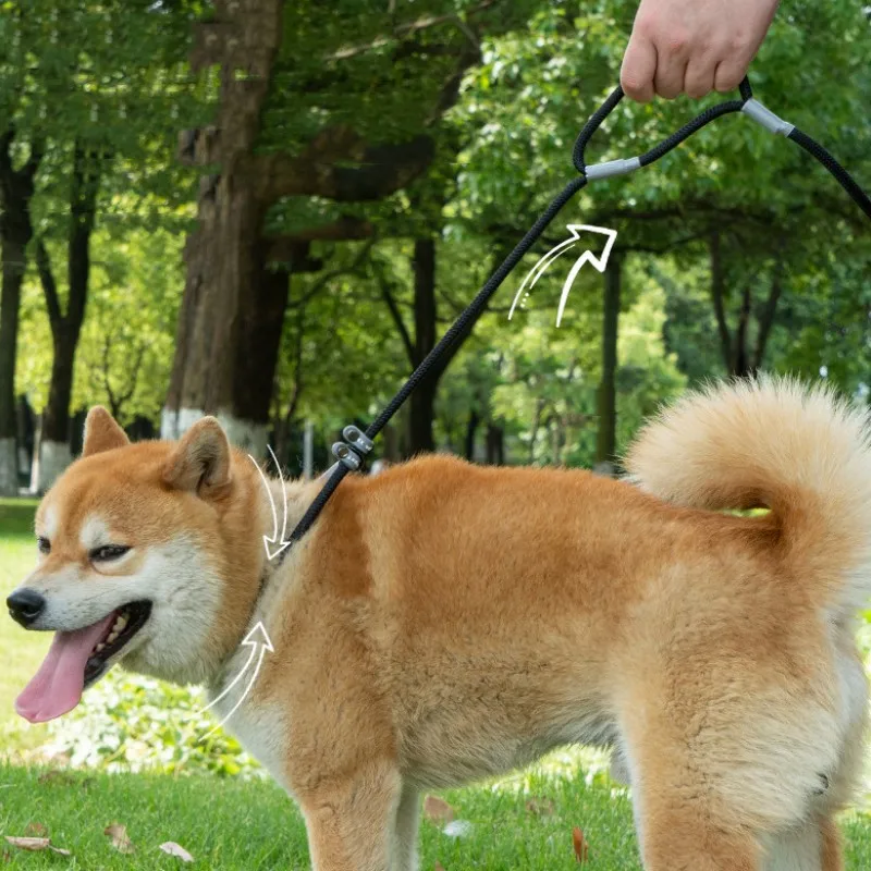 Trela Ajustável para Cães com Alça Dupla 1,4 m - Image 4