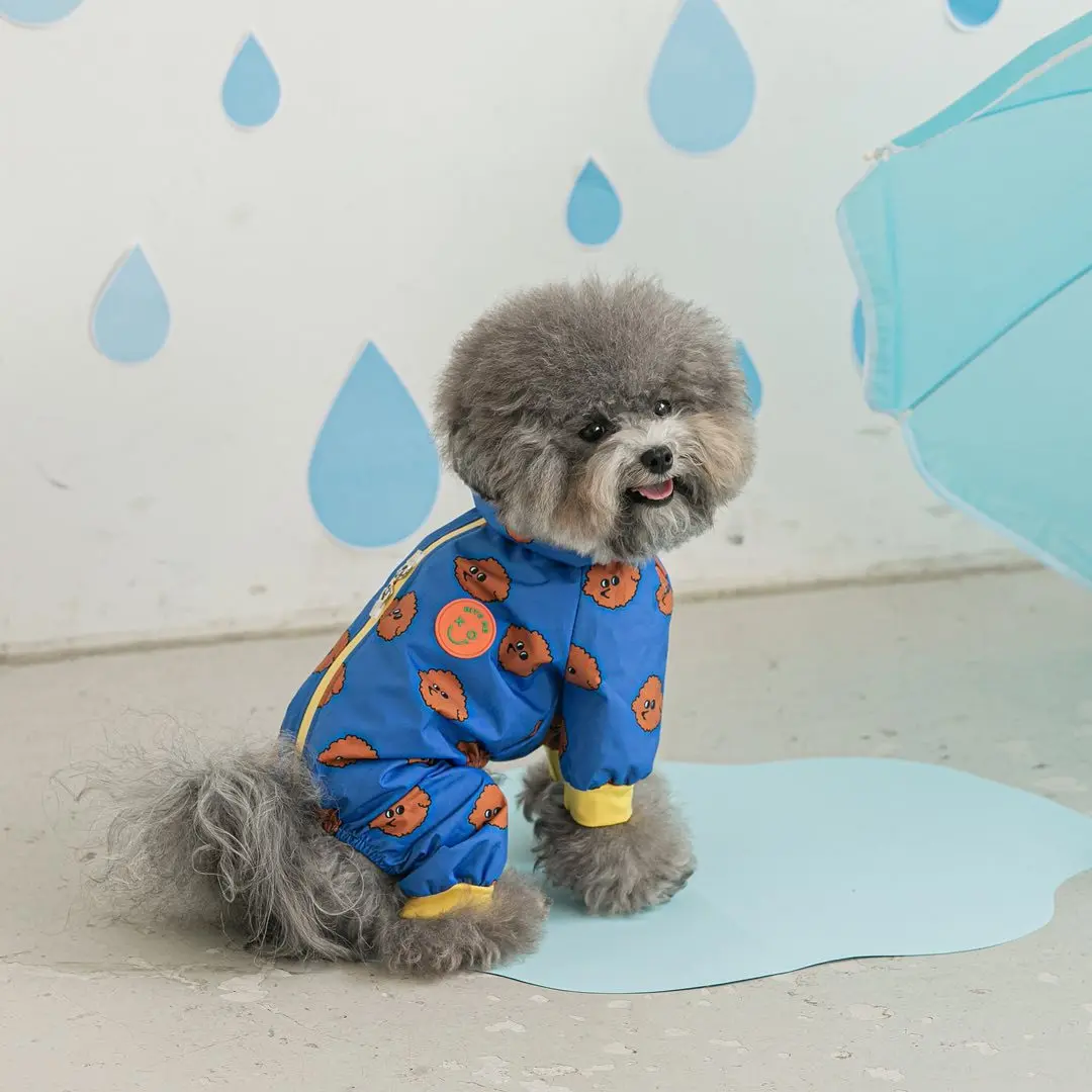 Capa de Chuva para Cães Pequenos Impermeável com Arnês Integrado - Image 5