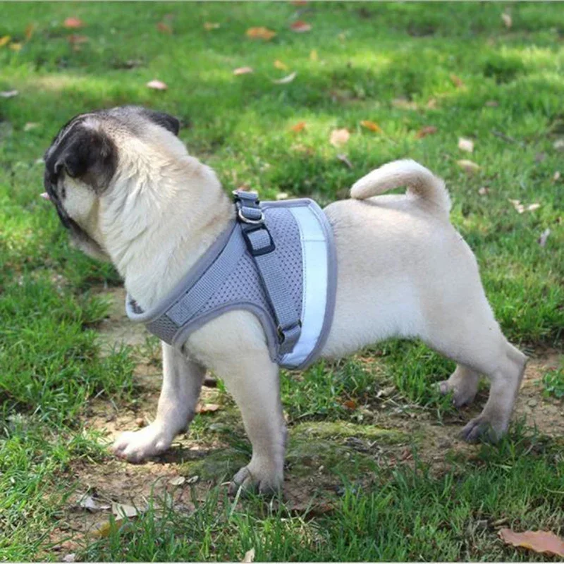 Colete Peitoral para Cães de Malha Ajustável Leve para Passeio - Imagem 4