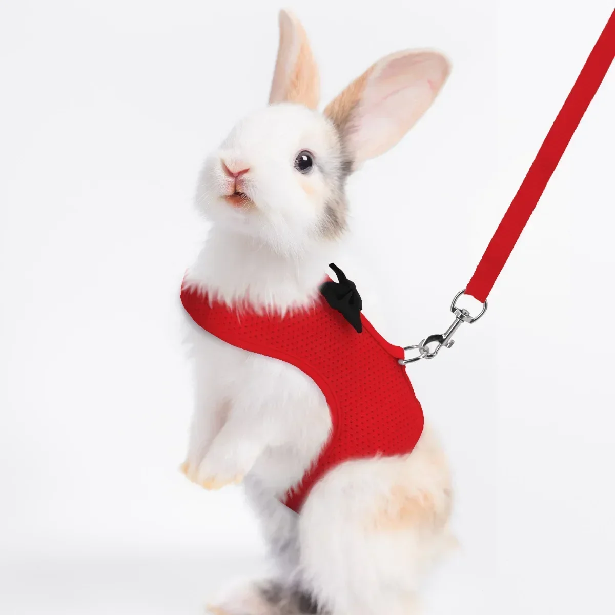 Arnês de Malha para Coelhos Ajustável para Passeio - Imagem 2