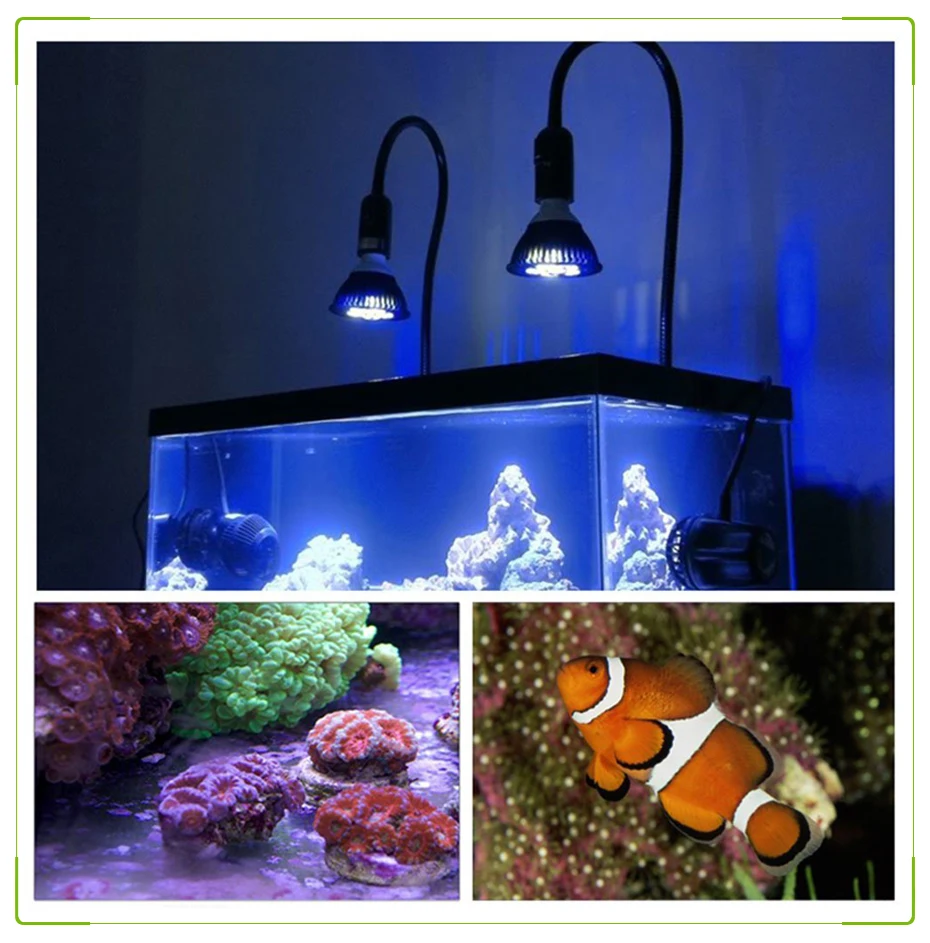 Luz LED para Aquário 15W Bocal E27 para Água Doce e Salgada - Imagem 5