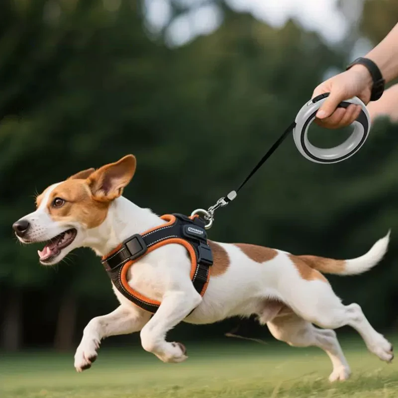 Coleira Retrátil para Cães Pequenos e Médios 250 cm com Trava - Imagem 5