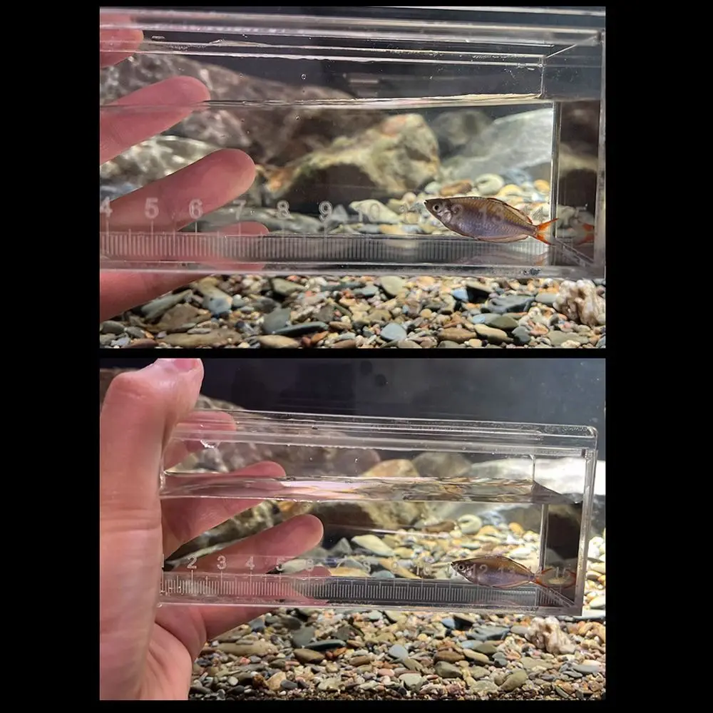Caixa de Visualização de Peixes em Acrílico Transparente com Tampa - Imagem 4