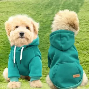 moletom de lã para cães e gatos