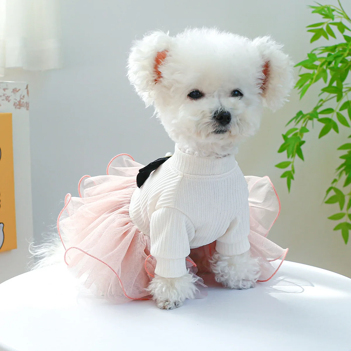 Vestido Tutu para Cães e Gatos de Renda Estampada - Imagem 4