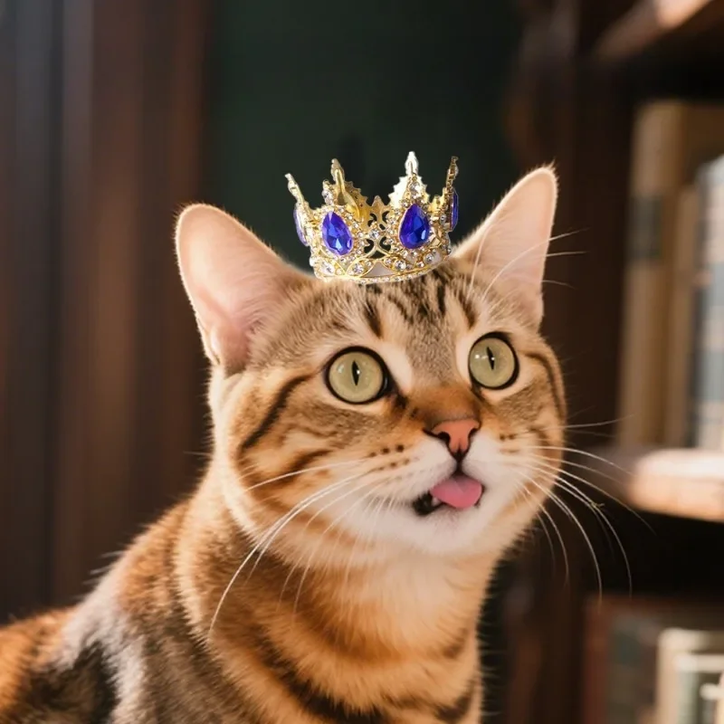 Coroa Bandana para Gatos e Cães Pequenos para Festa - Imagem 2