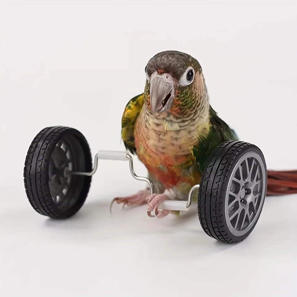 Brinquedo Bicicleta para Pássaros, Mini Rodas para Treinamento - Imagem 3