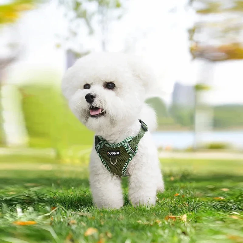 Coleira Peitoral e Guia para Cães Pequenos Refletiva Azul - Imagem 3