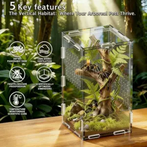 terrário de acrílico para aranha saltadora